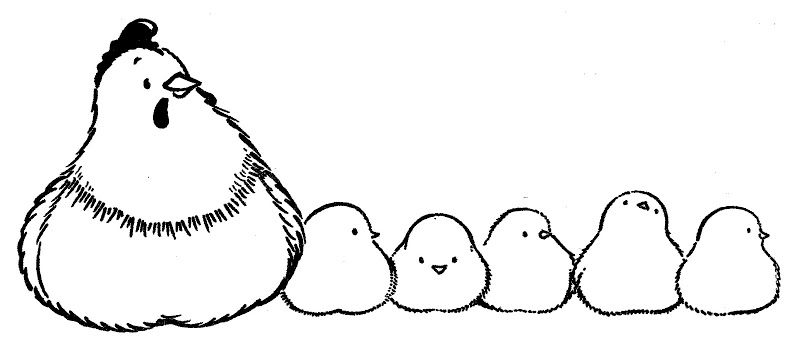 Farm Animal S Hen And Chicks2ba5 Coloring Page