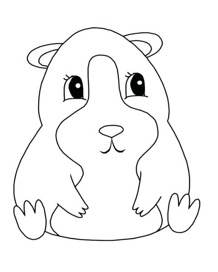Fat Guinea Pig Coloring Page