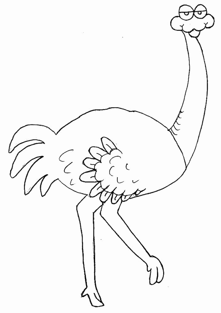 Fat Ostrich Coloring Page