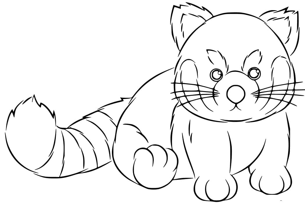 Fat Red Panda Coloring Page