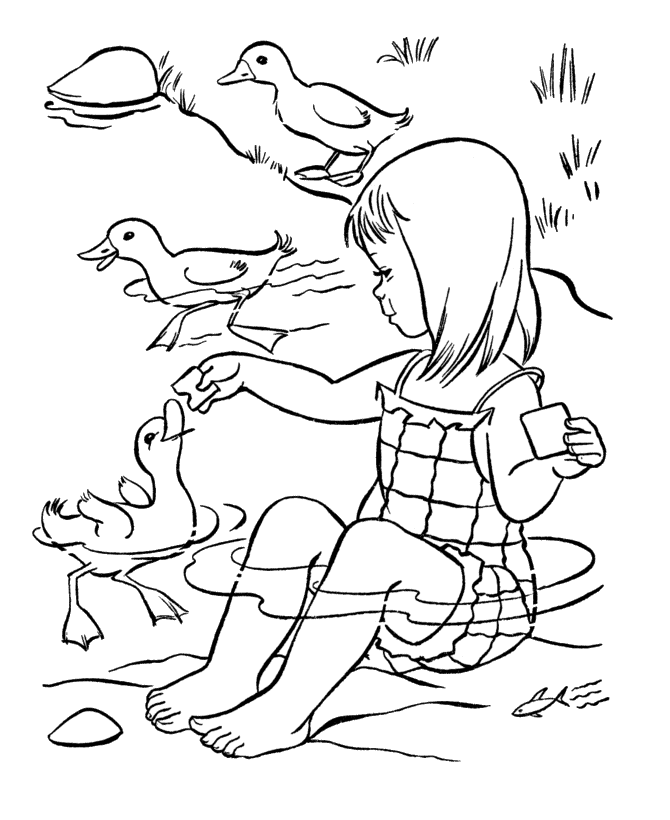 Feeding Ducks in Summer