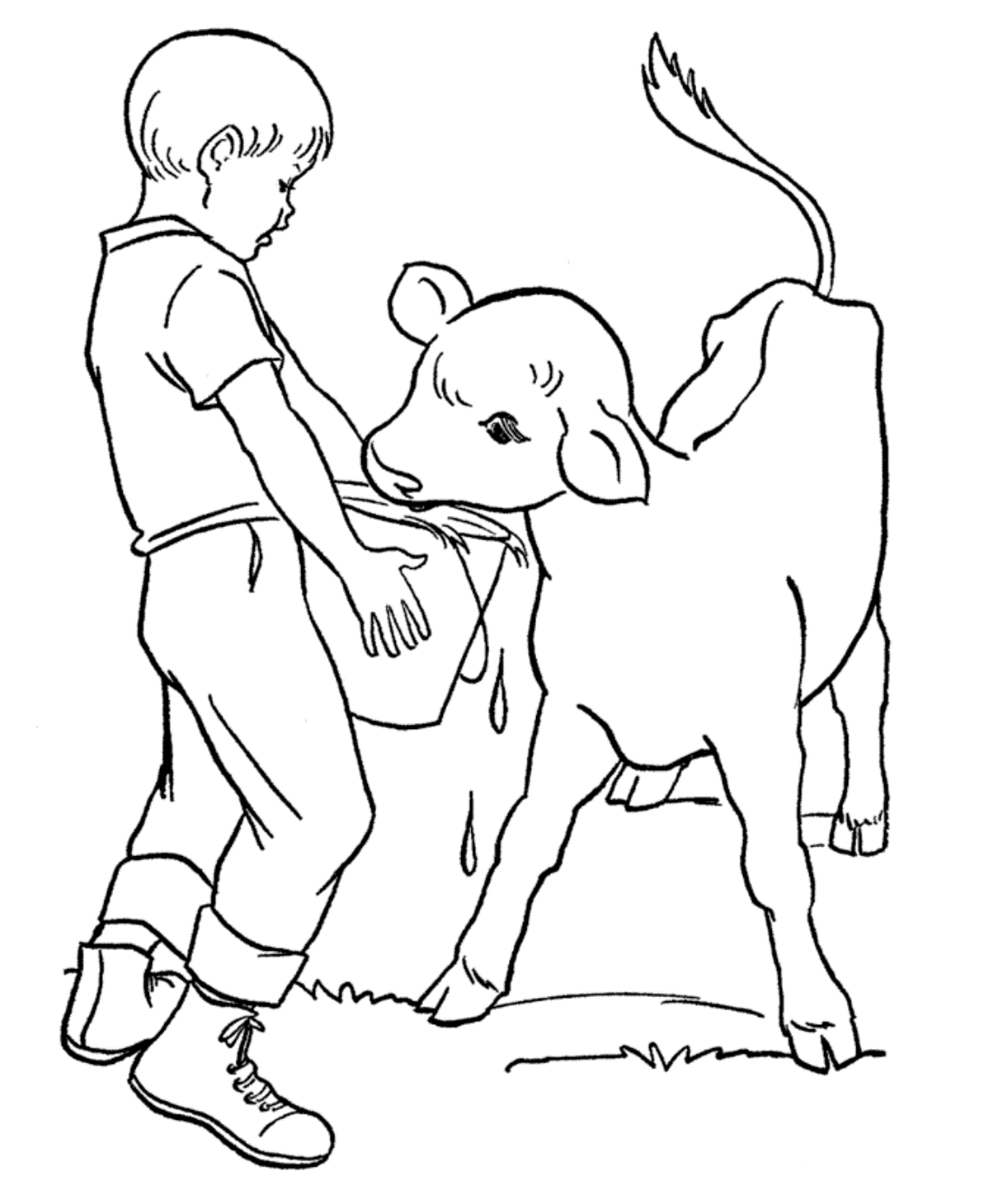 Feeds The Calf Farm Animal S00f7 Coloring Page