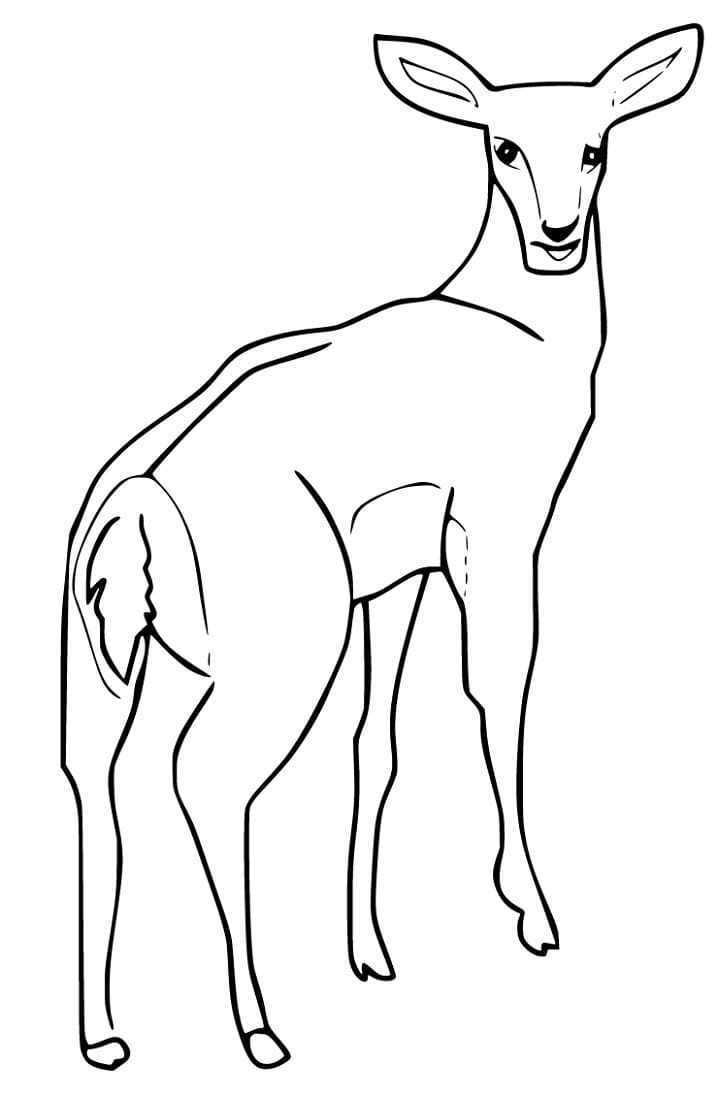 Female Gazelle Coloring Page