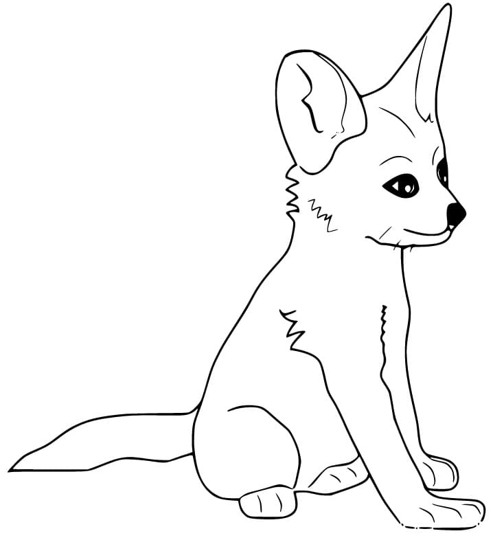 Fennec Fox Cute Coloring Page