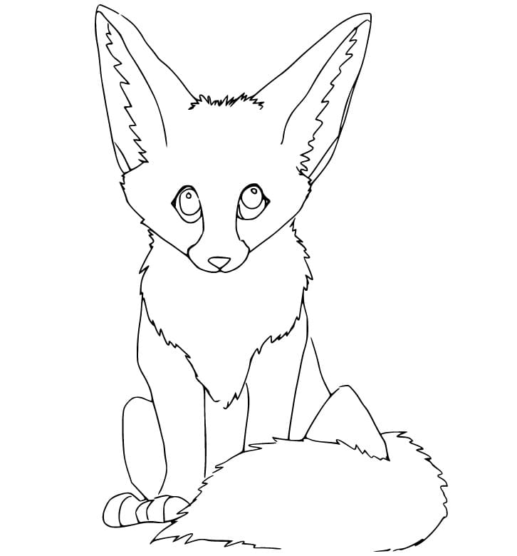 Fennec Fox Looks Cute Coloring Page