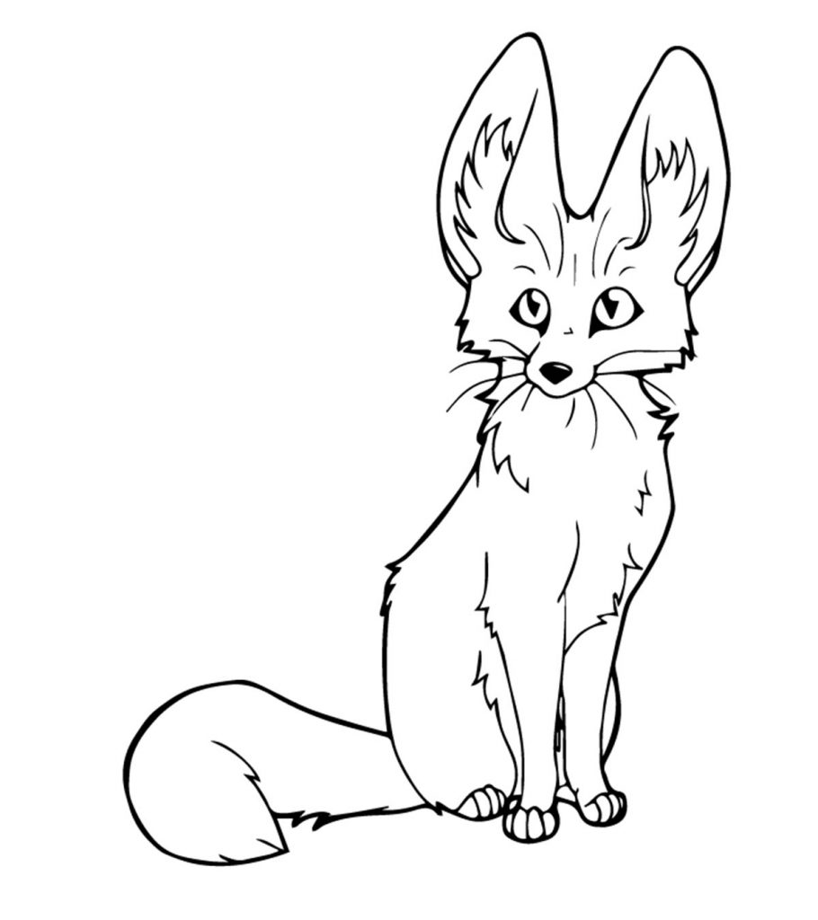 Fennec Fox Sitting Coloring Page