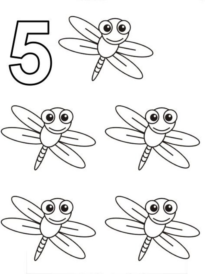 Five Dragonfly S Of Animalsf27a