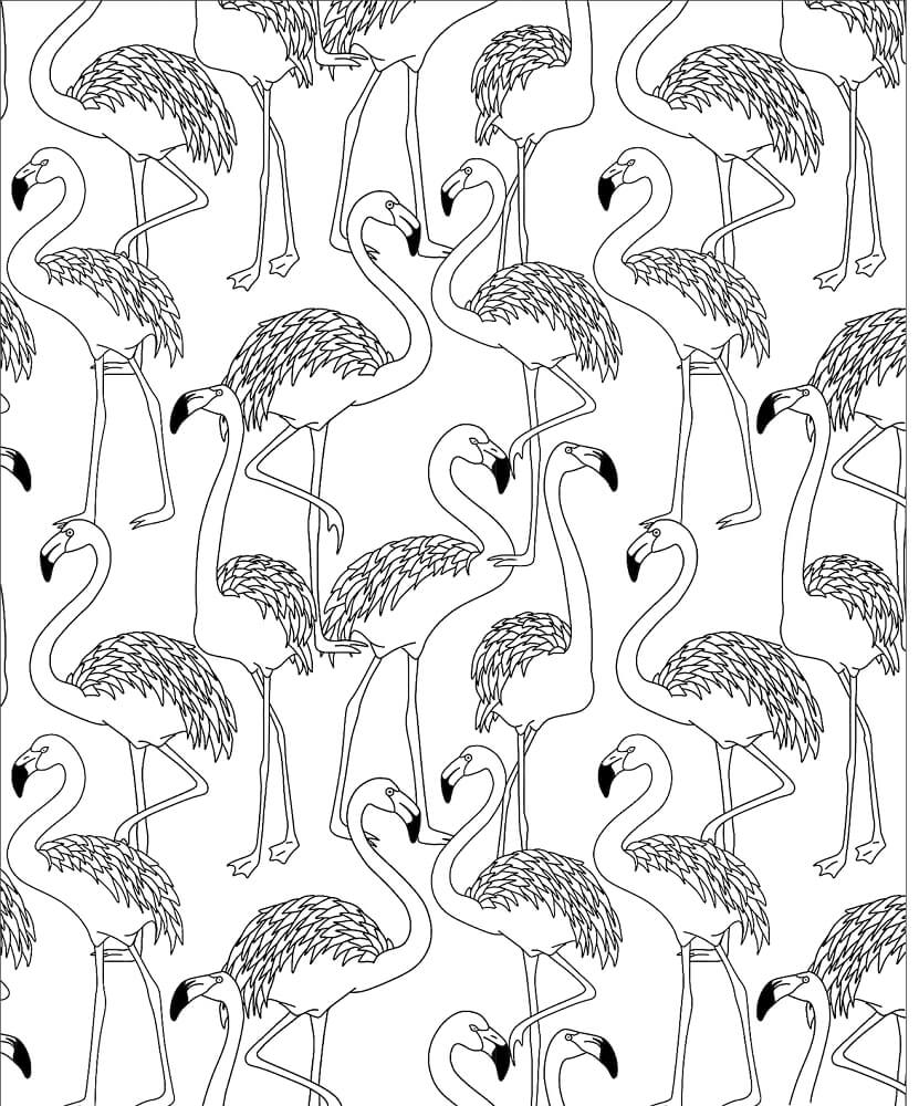 Flamingo Herd