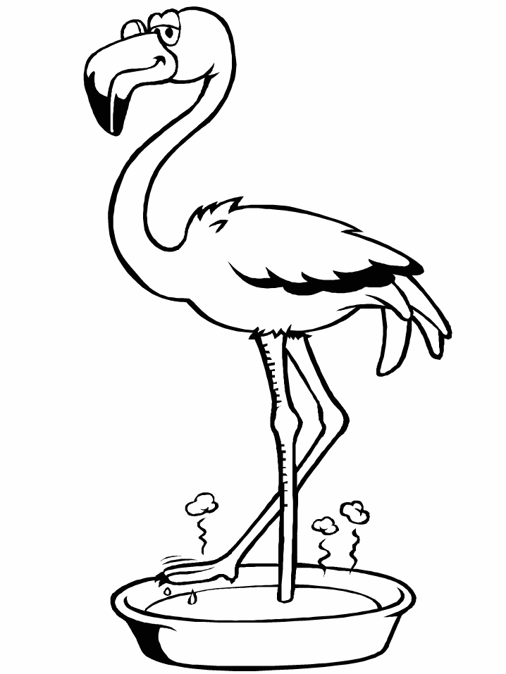 Flamingo Soaking