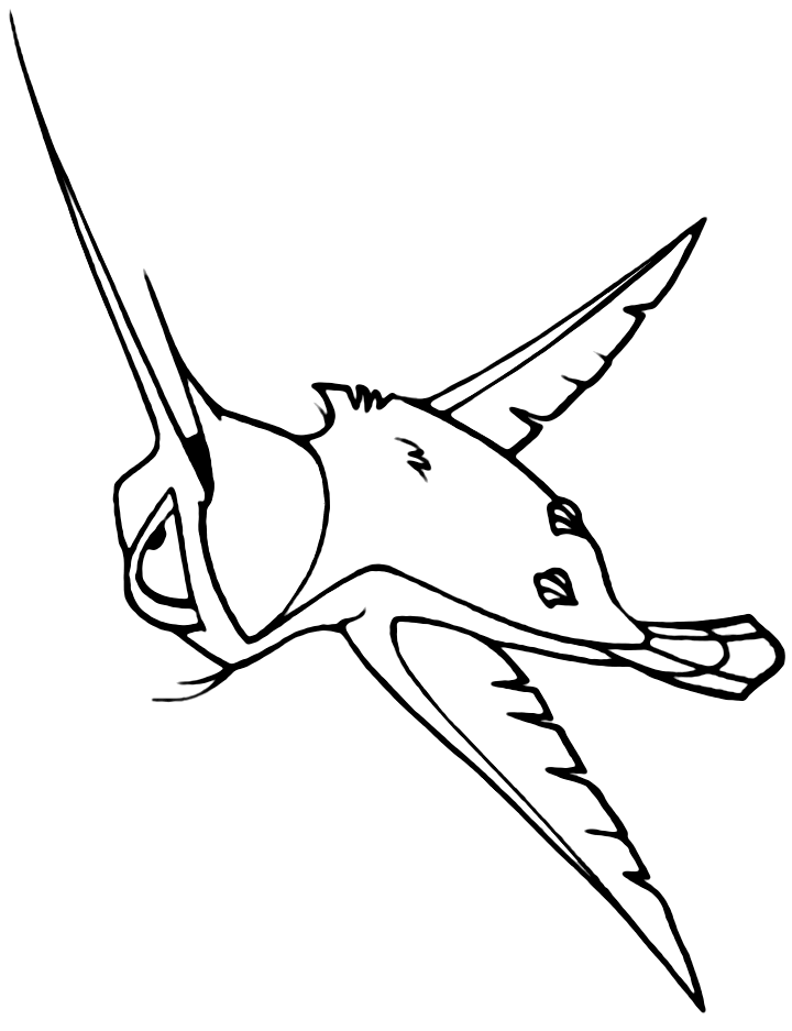 Flit In Pocahontas Coloring Page