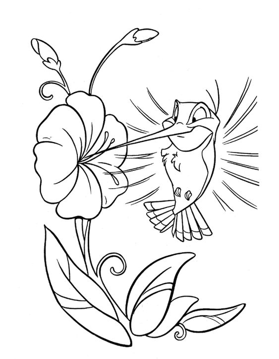 Flit Sipping Nectar Coloring Page