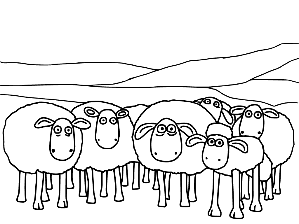 Flock Of Sheeps