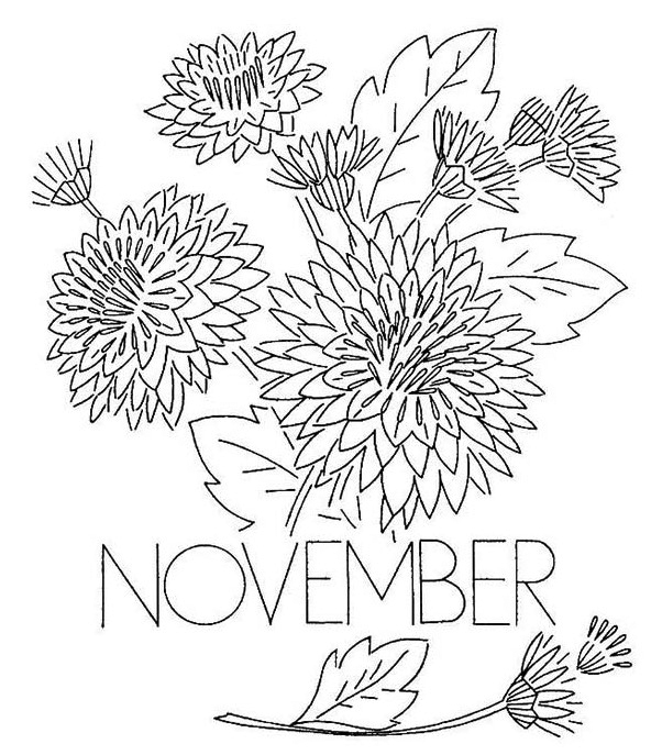 Flowers for November