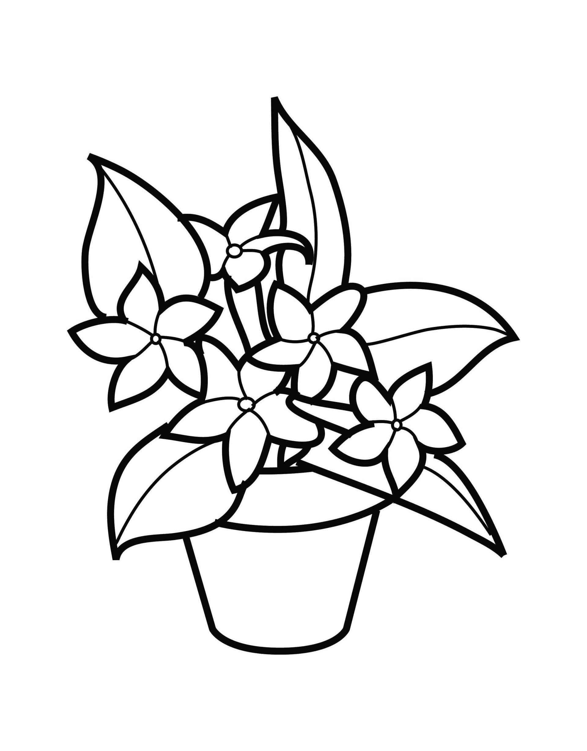 Flowers In A Pot Coloring Page
