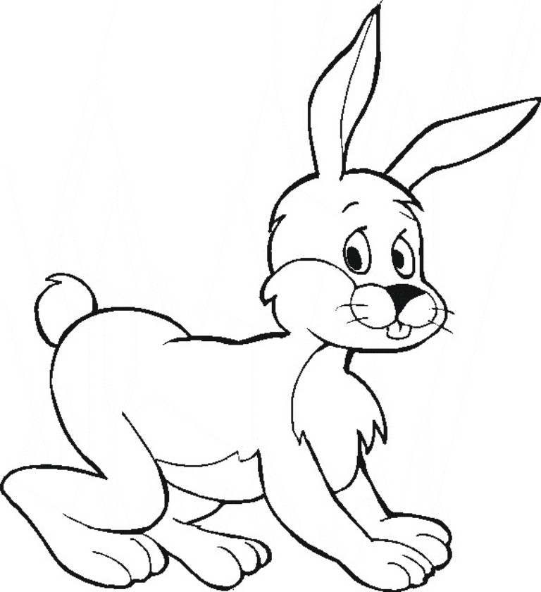 Fluffy Rabbit Animal Coloring Page