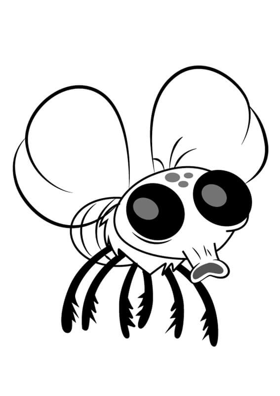 Fly from Looped Coloring Page