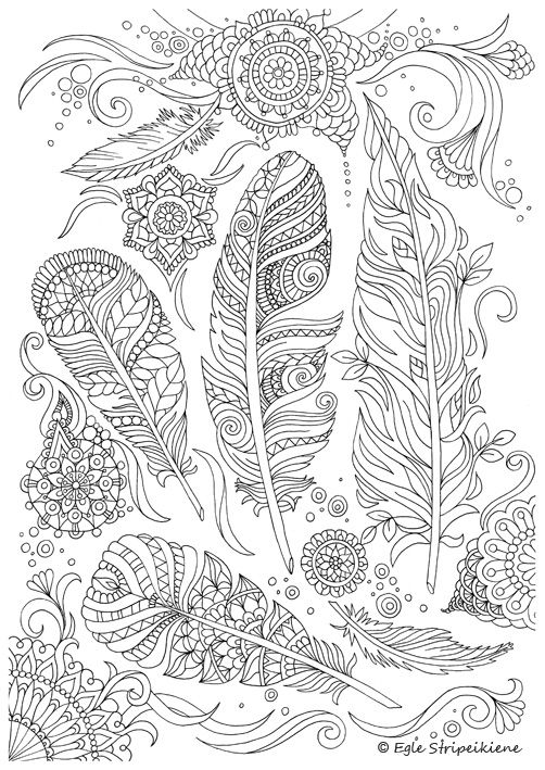 For Adult Feathers Difficuult Advanced Hard Coloring Page