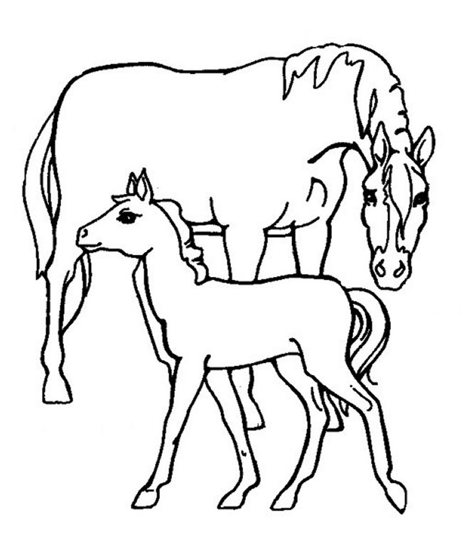 For Girls Horses9afe Coloring Page