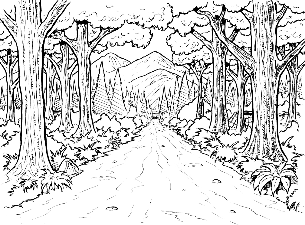Forest Pathway Scene