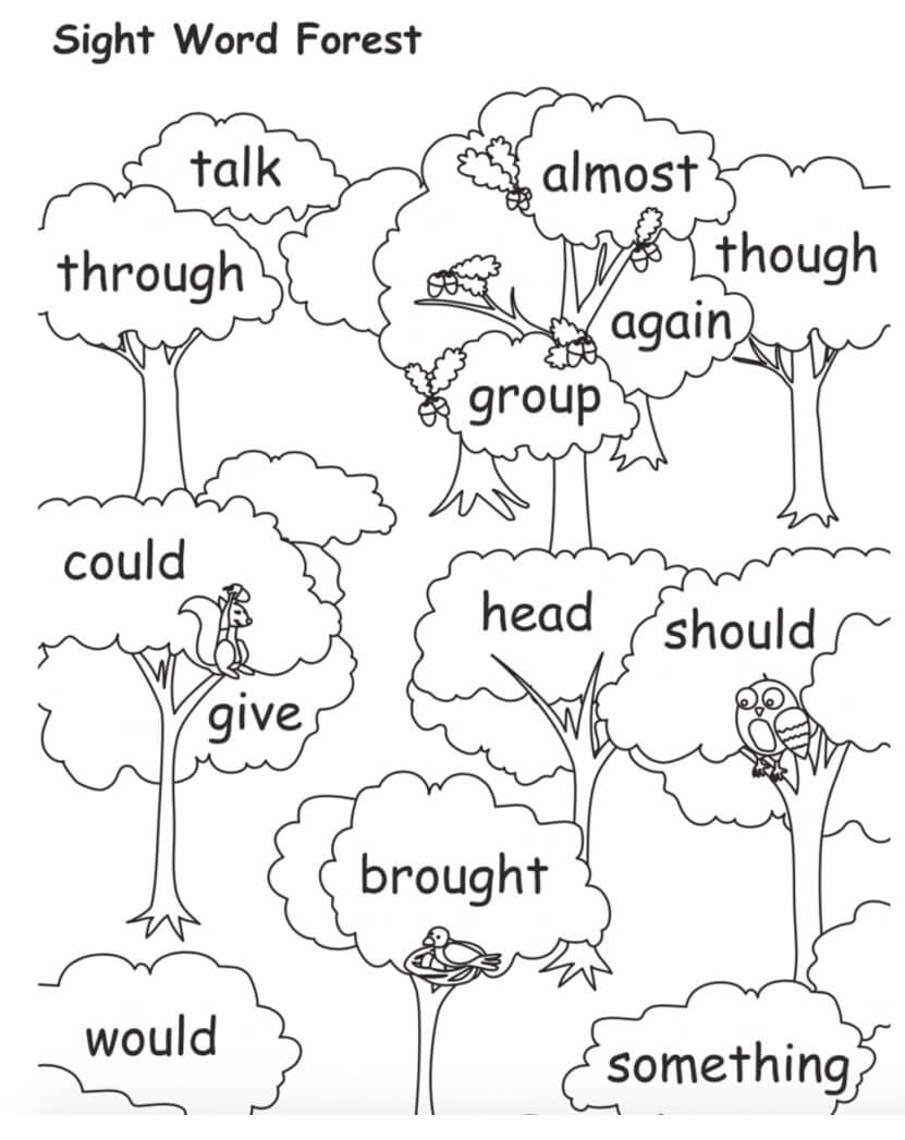 Forest Sight Words