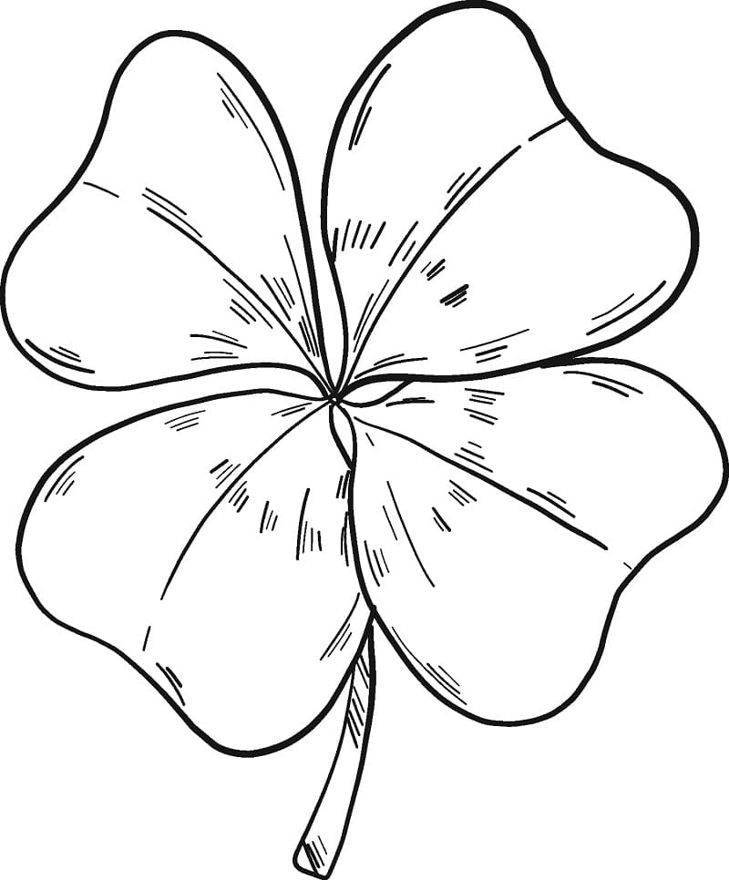 Four-leaf Clover 2 Coloring Page