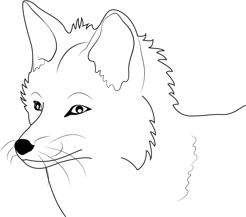 Fox’s Face Coloring Page