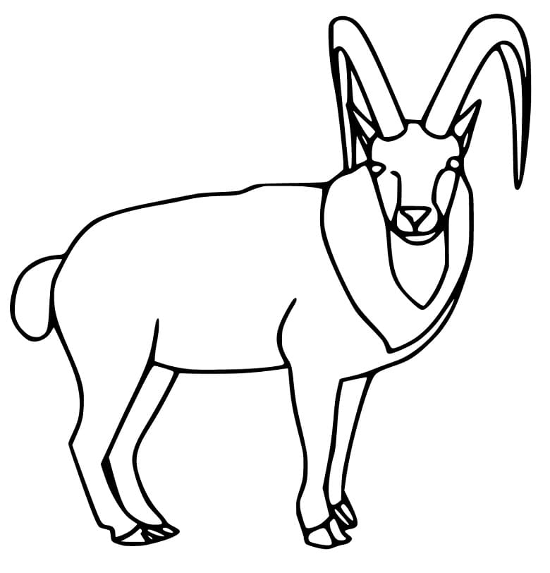 Free Alpine Ibex Coloring Page
