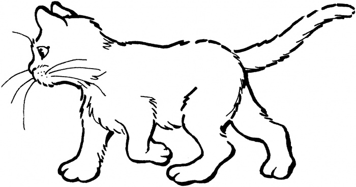 Free Animal S Cat For Kids6e9d Coloring Page