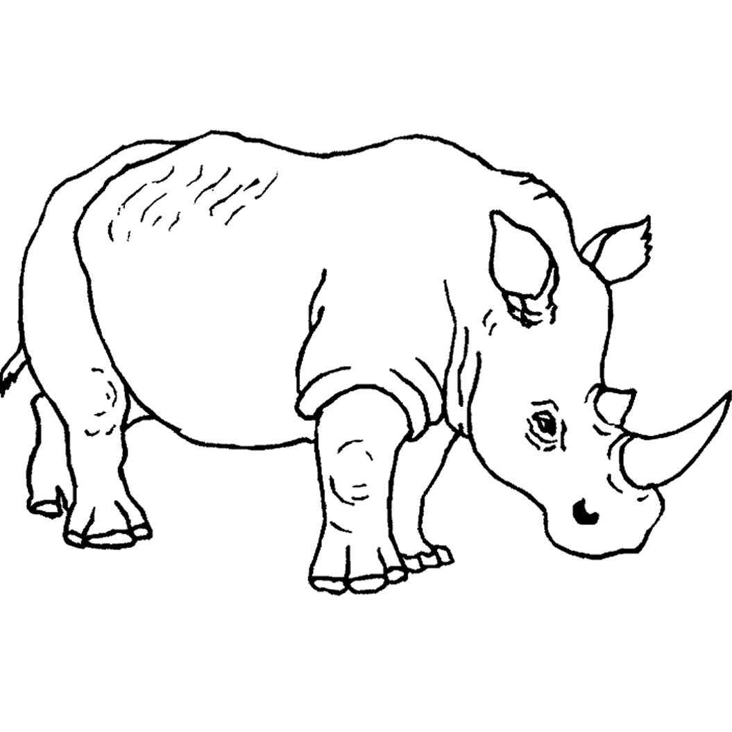 Free Animal S Rhino5d50 Coloring Page