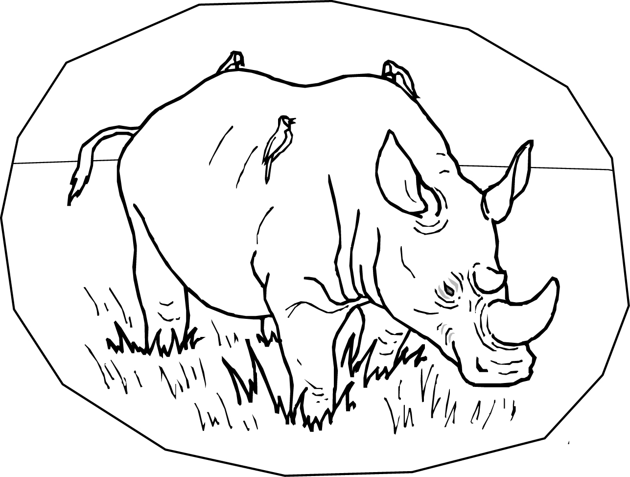 Free Animal S Wild Rhino51de Coloring Page