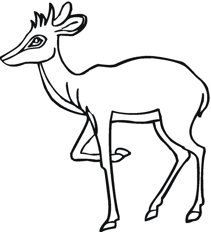 Free Antelope Coloring Page