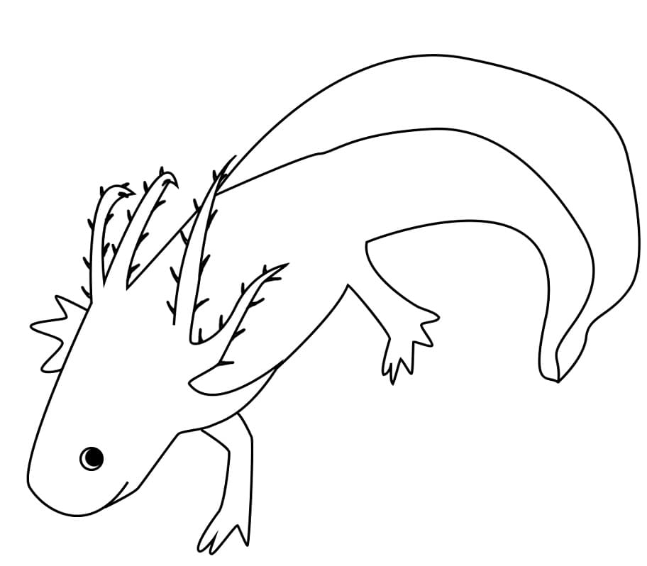Free Axolotl