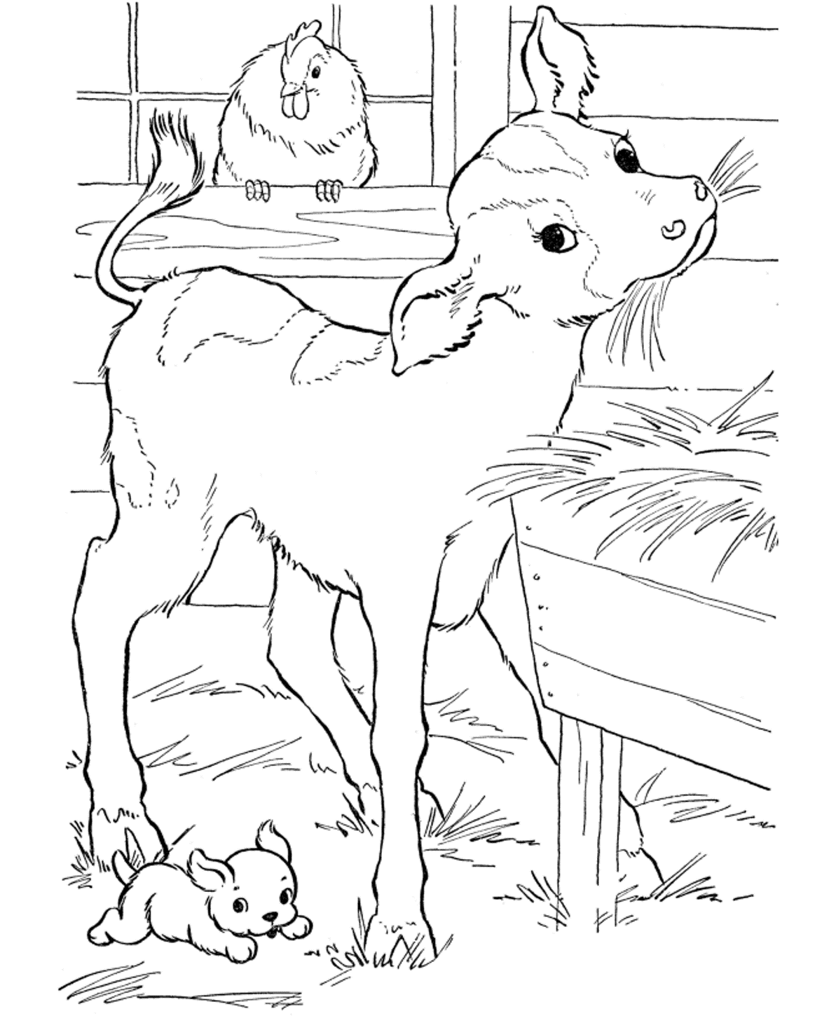 Free Calf Farm Animal Sbbf0 Coloring Page