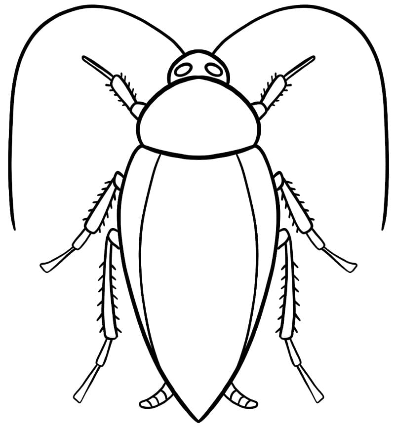Free Cockroach for Kid Coloring Page