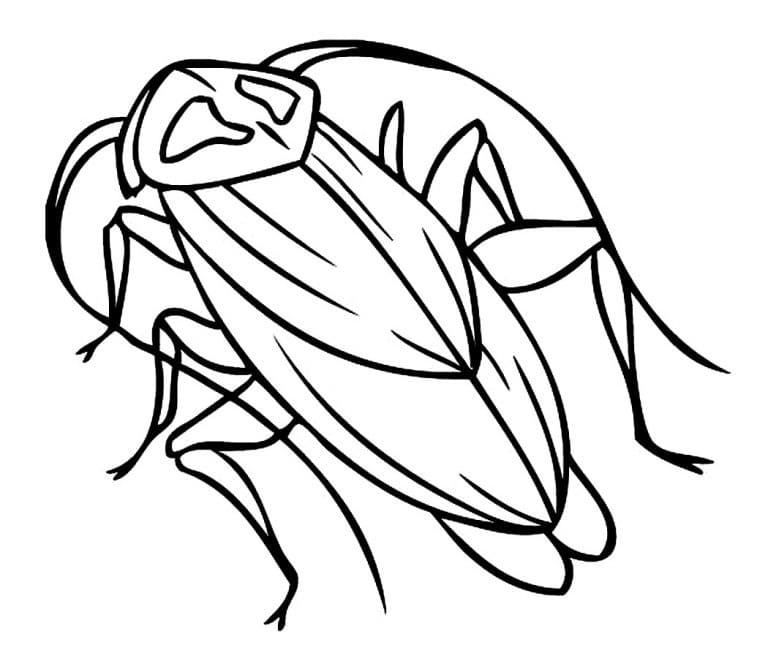 Free Cockroach Coloring Page