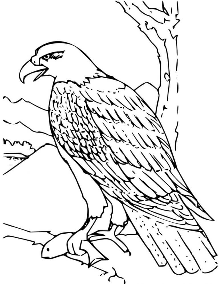 Free Eagle Coloring Page