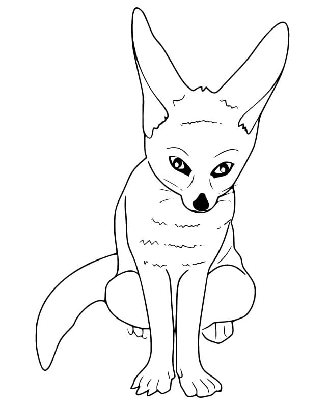 Free Fennec Fox Coloring Page