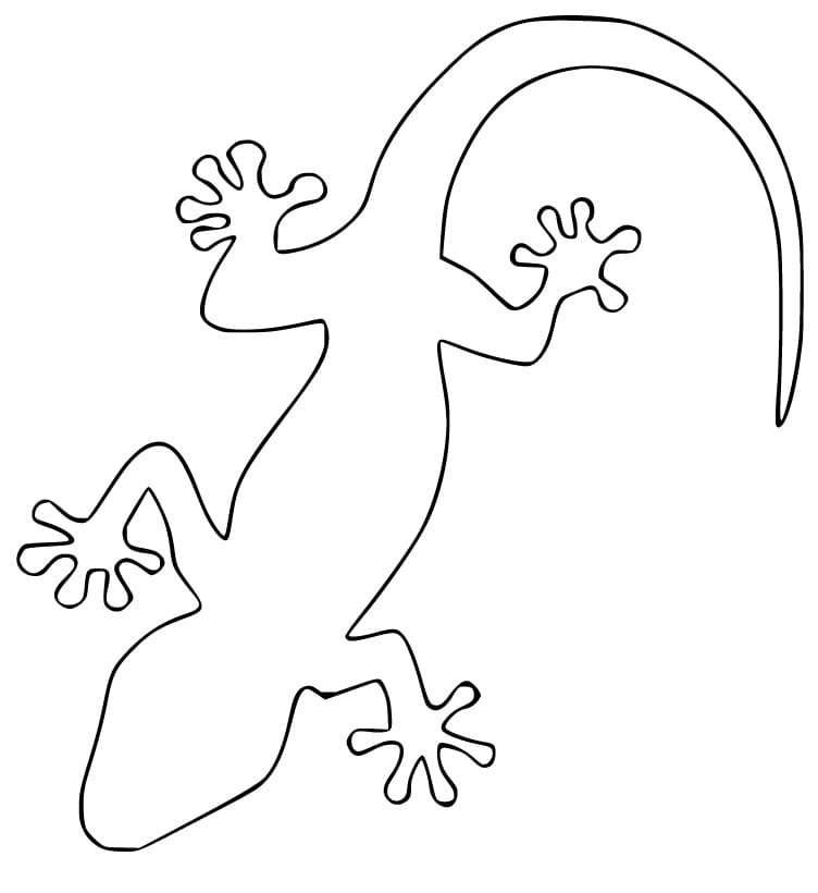 Free Gecko Outline Coloring Page