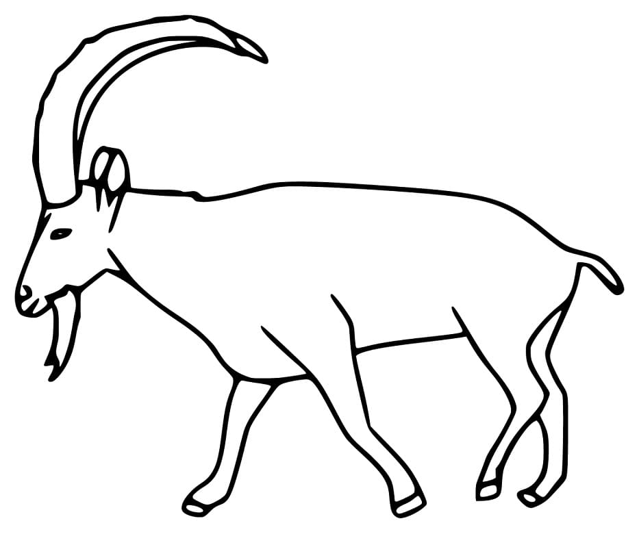 Free Ibex Coloring Page