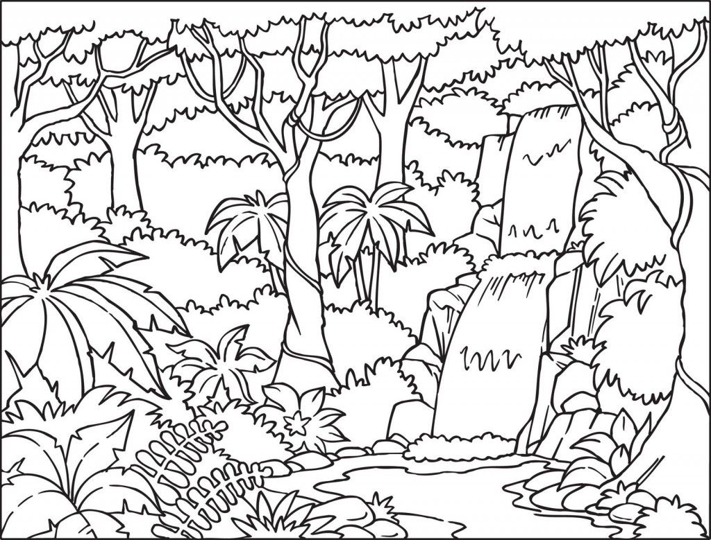 Jungle   Coloring Cool