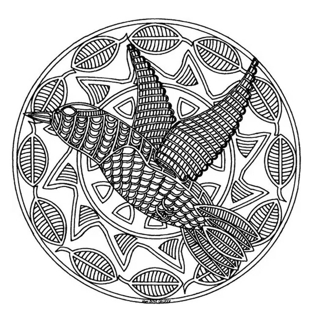 Free Mandala Difficult Adult To Print Bird Coloring Page