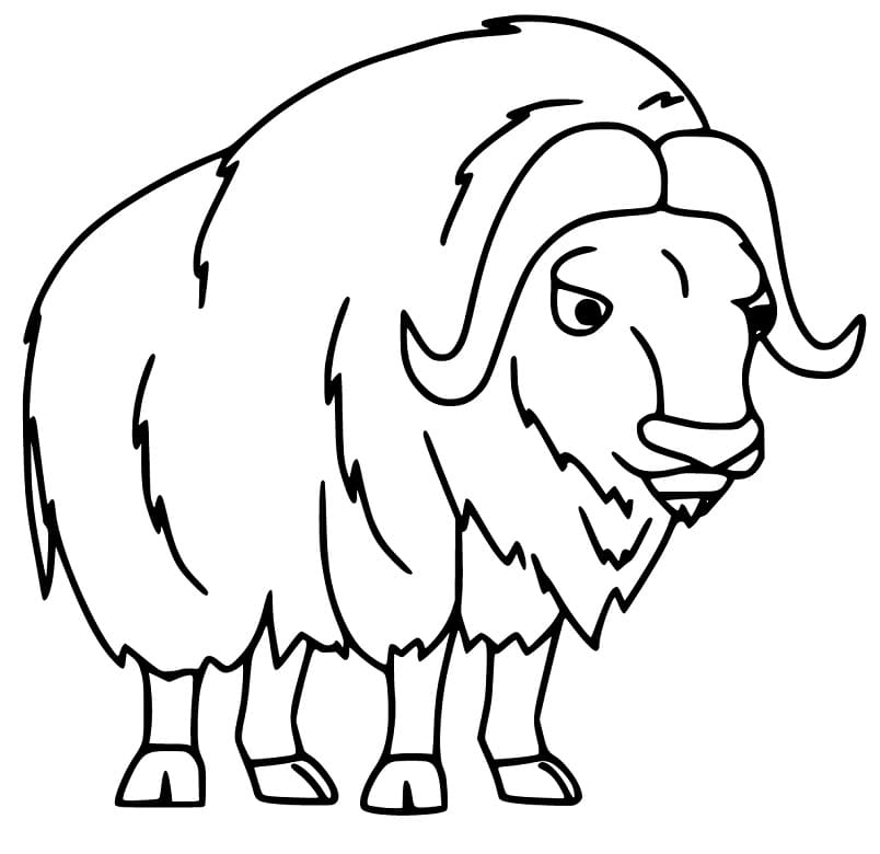 Free Musk Ox Coloring Page