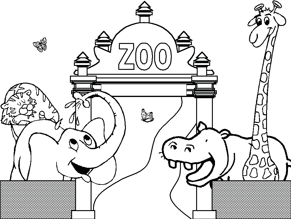 Free Preschool S Zoo Animals92cd Coloring Page