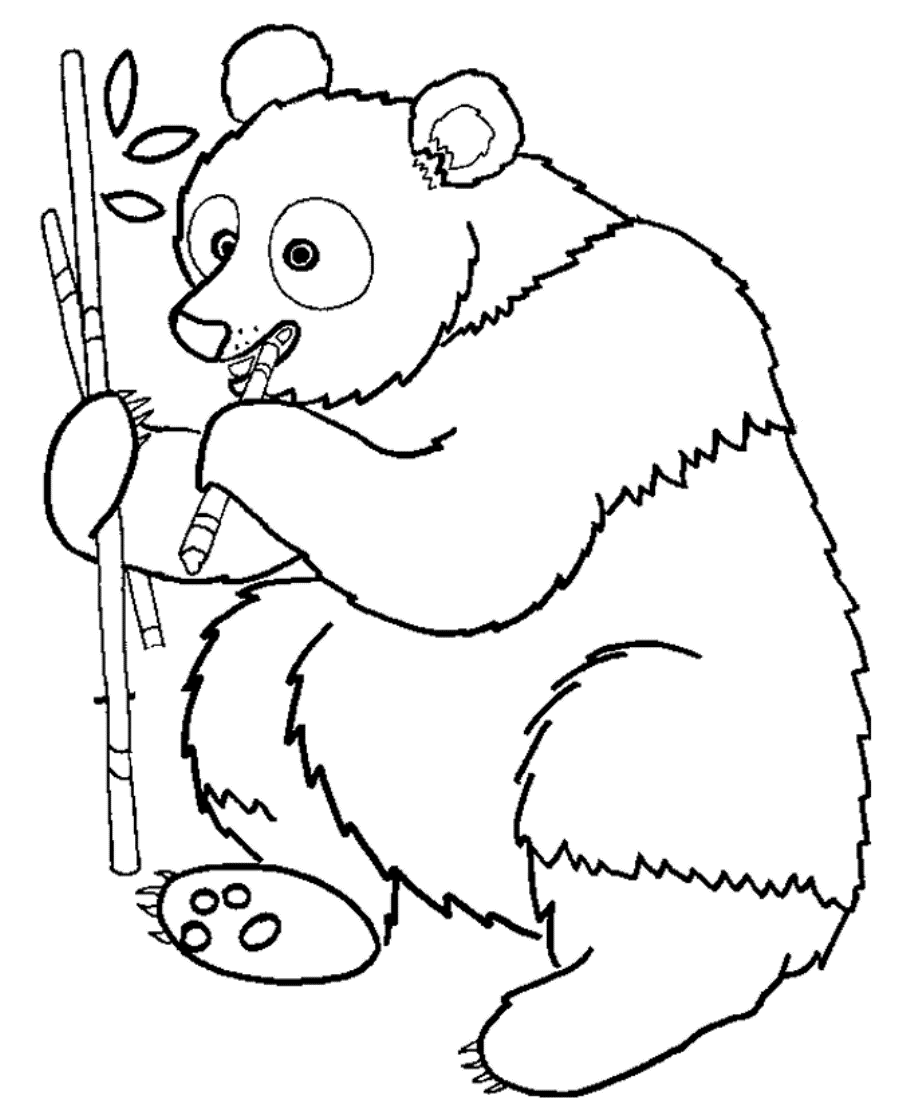 Free Printable Animal S Panda Eating Bamboo79da Coloring Page