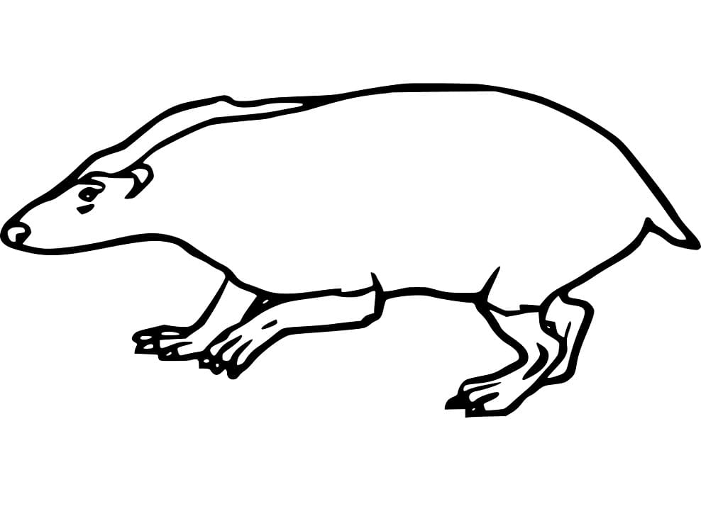 Free Printable Badger Coloring Page