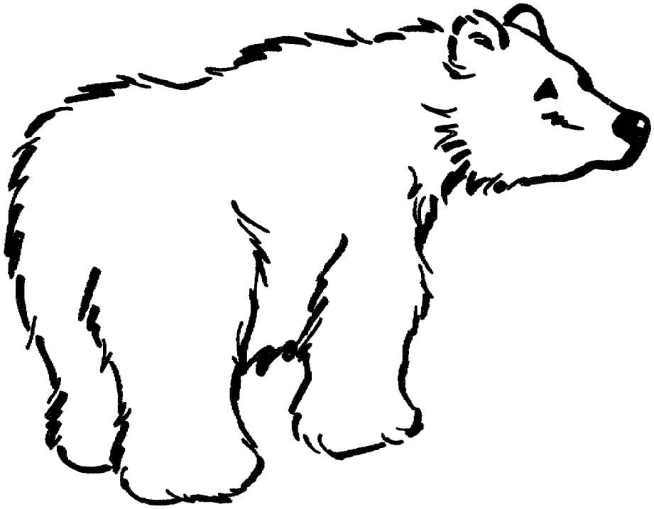 Free Printable Brown Bear Coloring Page