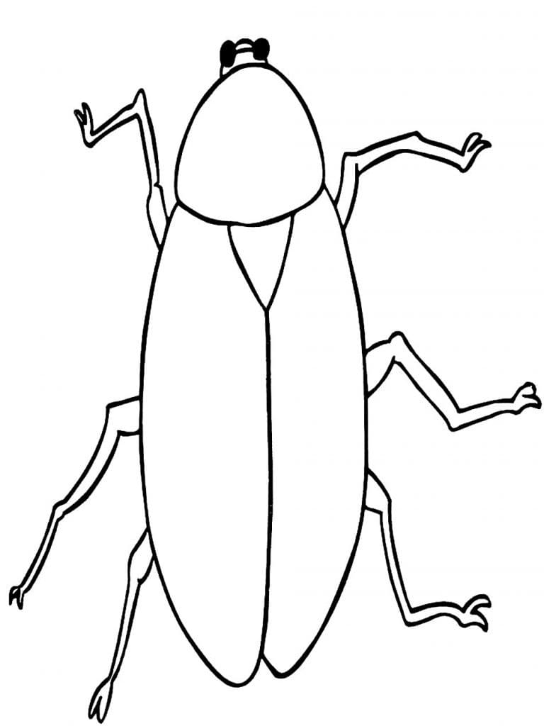 Free Printable Cockroach Coloring Page