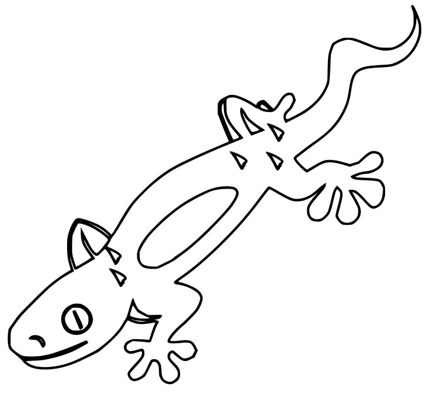 Free Printable Gecko Coloring Page