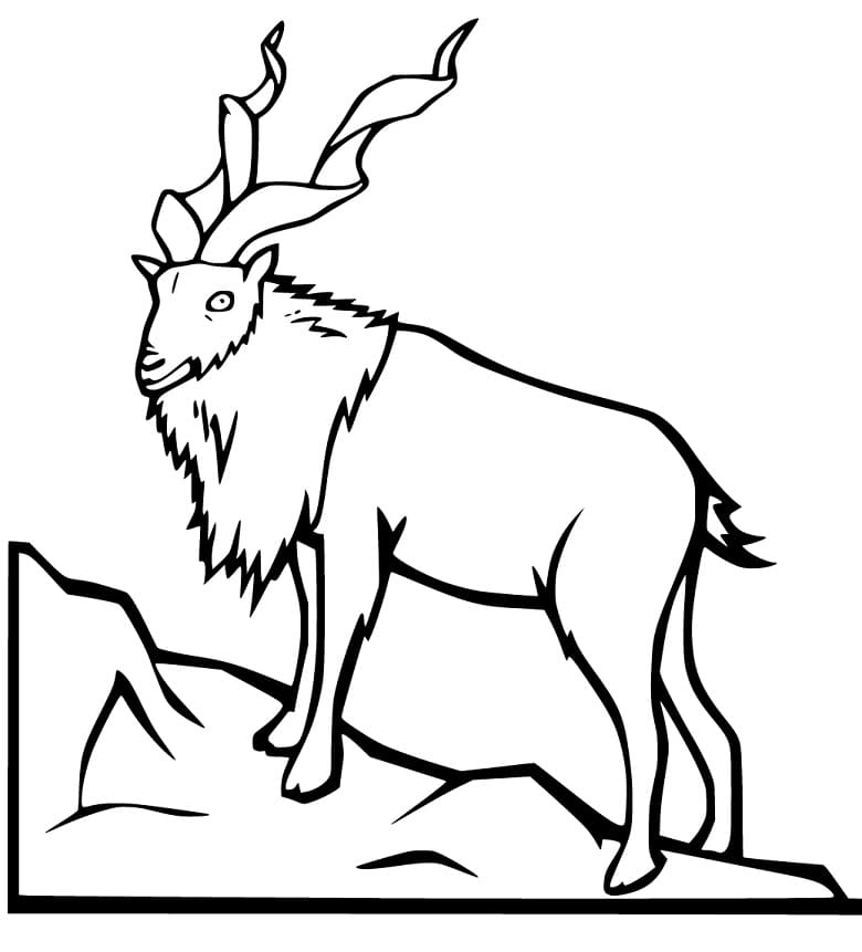 Free Printable Markhor Coloring Page