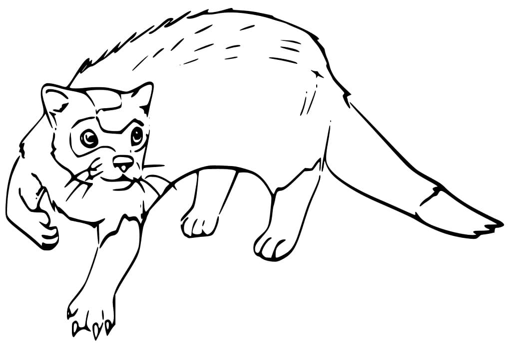 Free Printable Mink Coloring Page